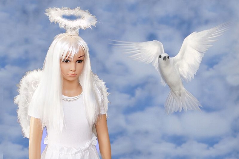 AUREOLA OPASKA ANIOŁKA WIANEK AUREOLKA BIAŁA Marka Tropic