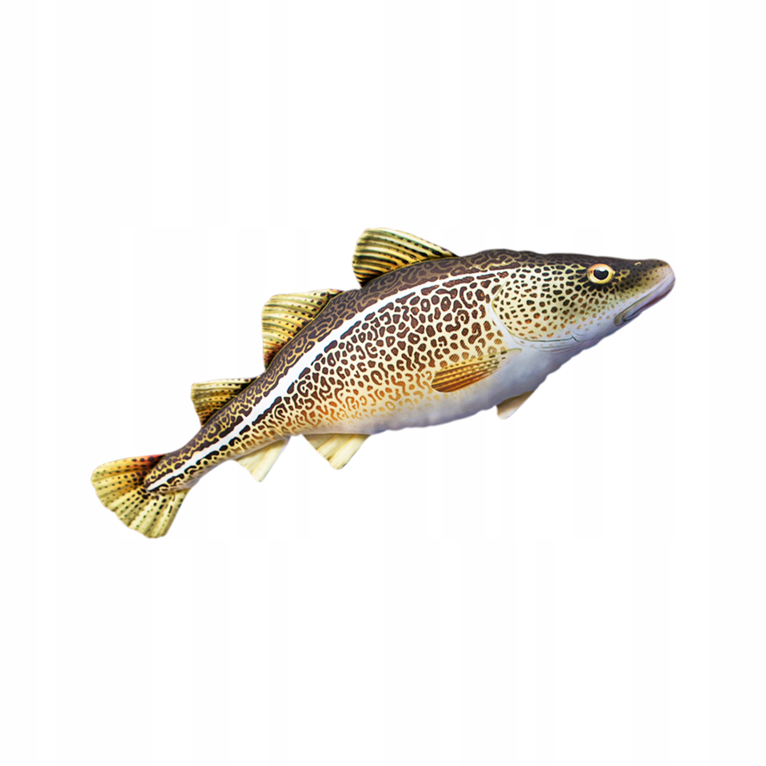 Poduszka maskotka Gaby DORSZ ATLANTYCKI 75cm