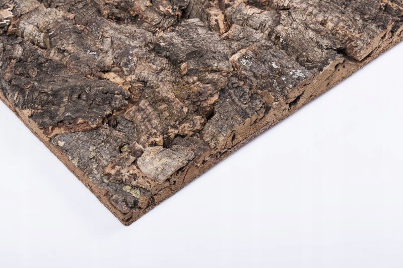 Płyta korkowa ścienna dekoracyjna VIRGIN 600x300mm EAN (GTIN) 5904501323376