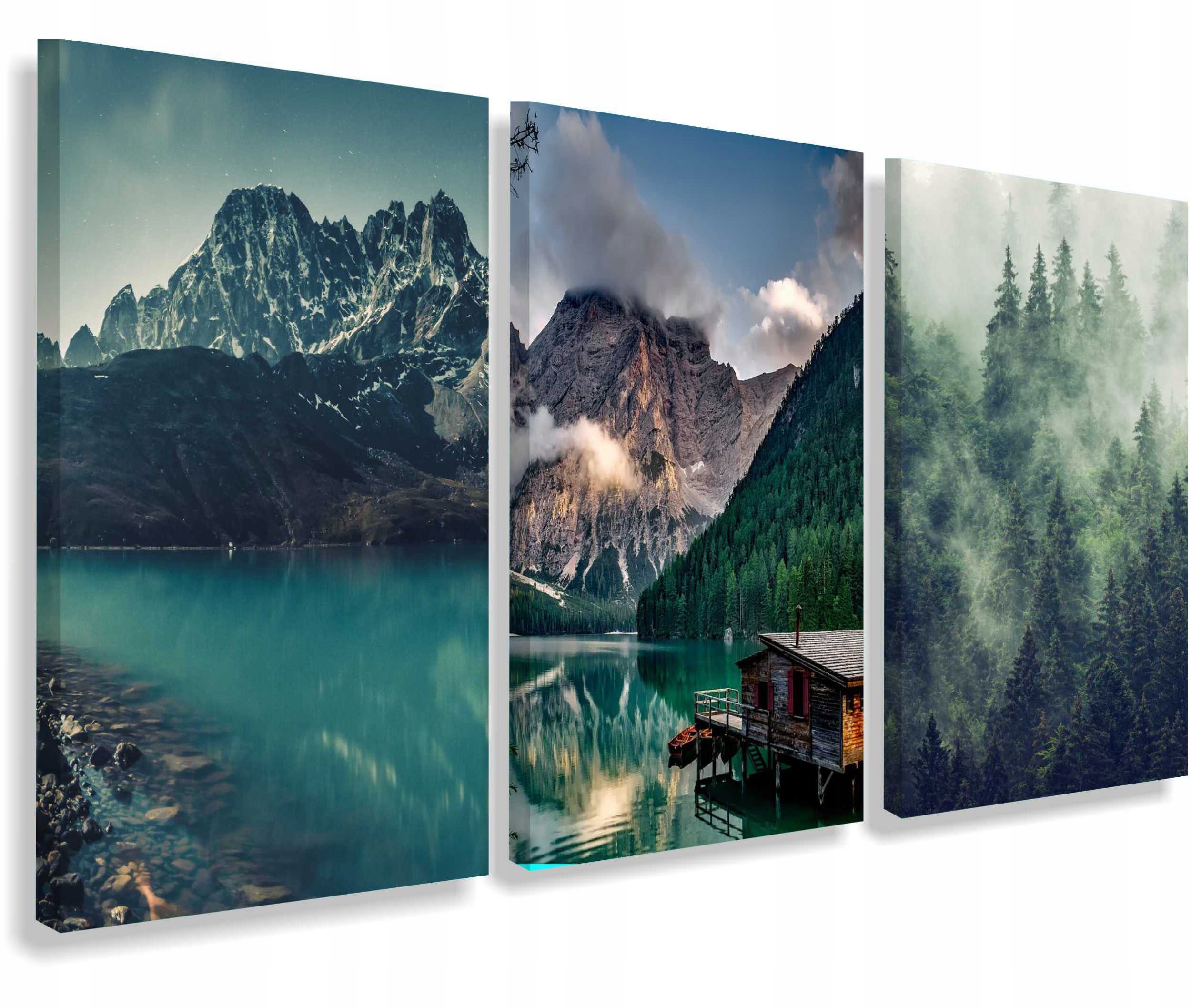 

Obraz obrazy na ścianę ścienne tryptyk 60x120