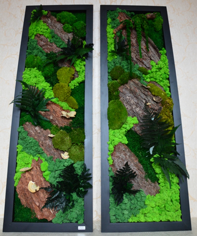Chrobotek płaski poduszkowy o rozmiarze 150X50