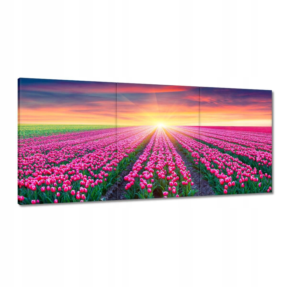 Obrazy 210x100 More tulipánov Kvety