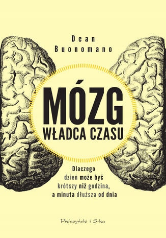 Mózg władca czasu. Dlaczego dzień może być