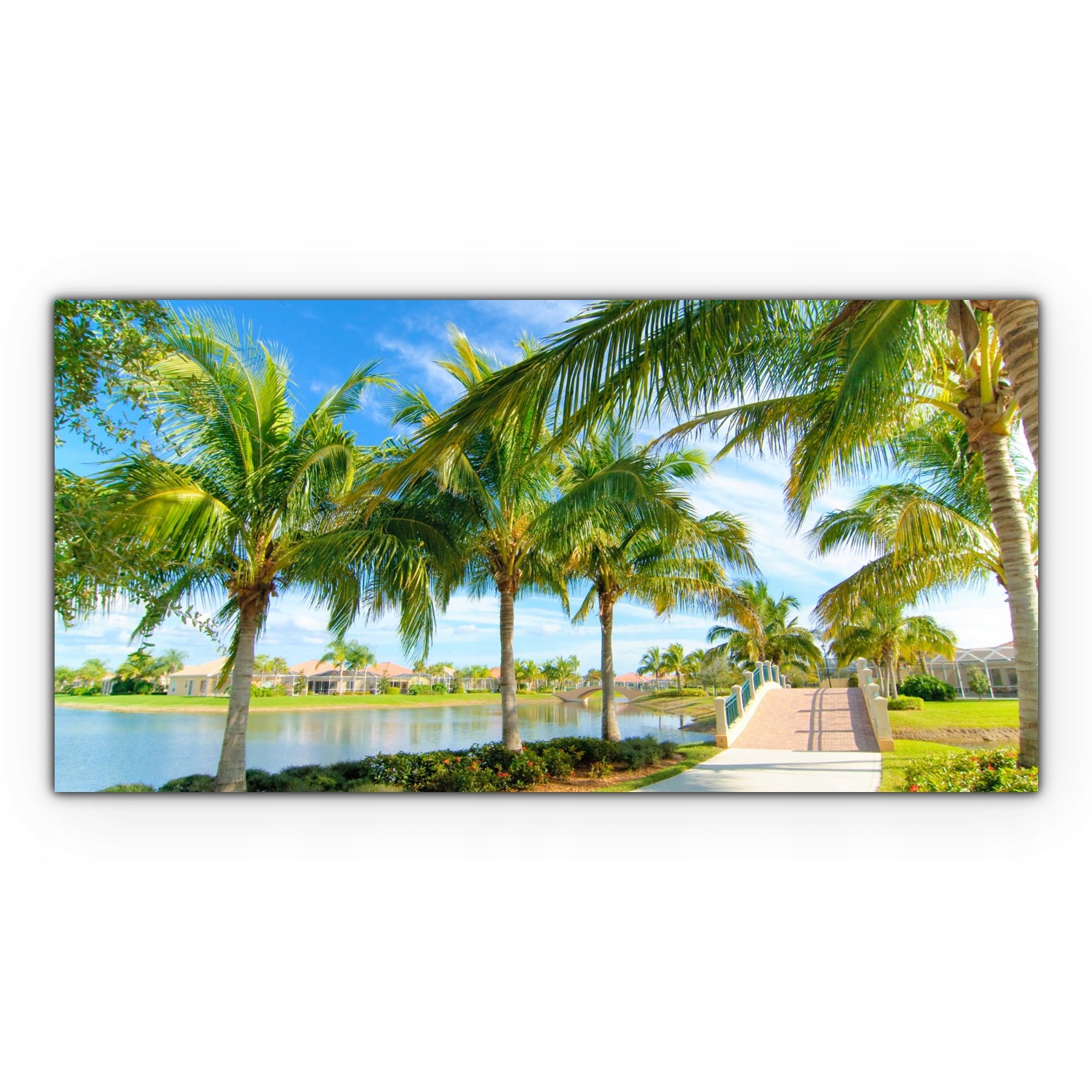 

Obraz Canvas dekoracja 140x70 Tropiki Palmy Drzewa