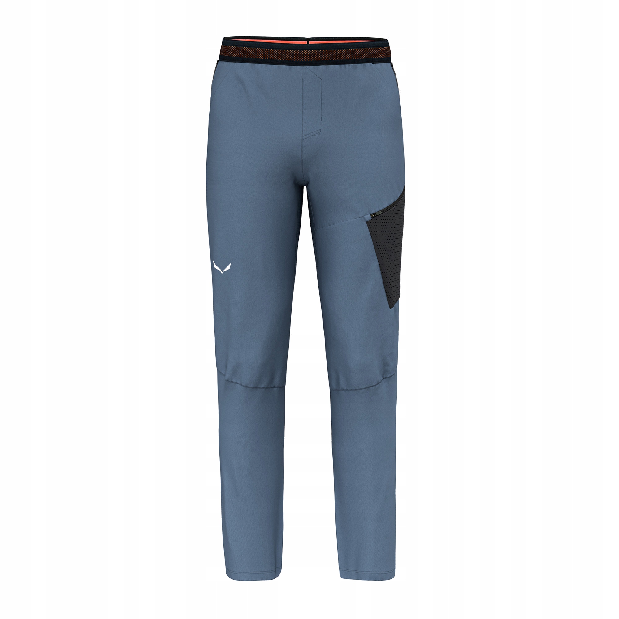Spodnie trekkingowe męskie Salewa Pedroc 2 Dst java blue 48/M