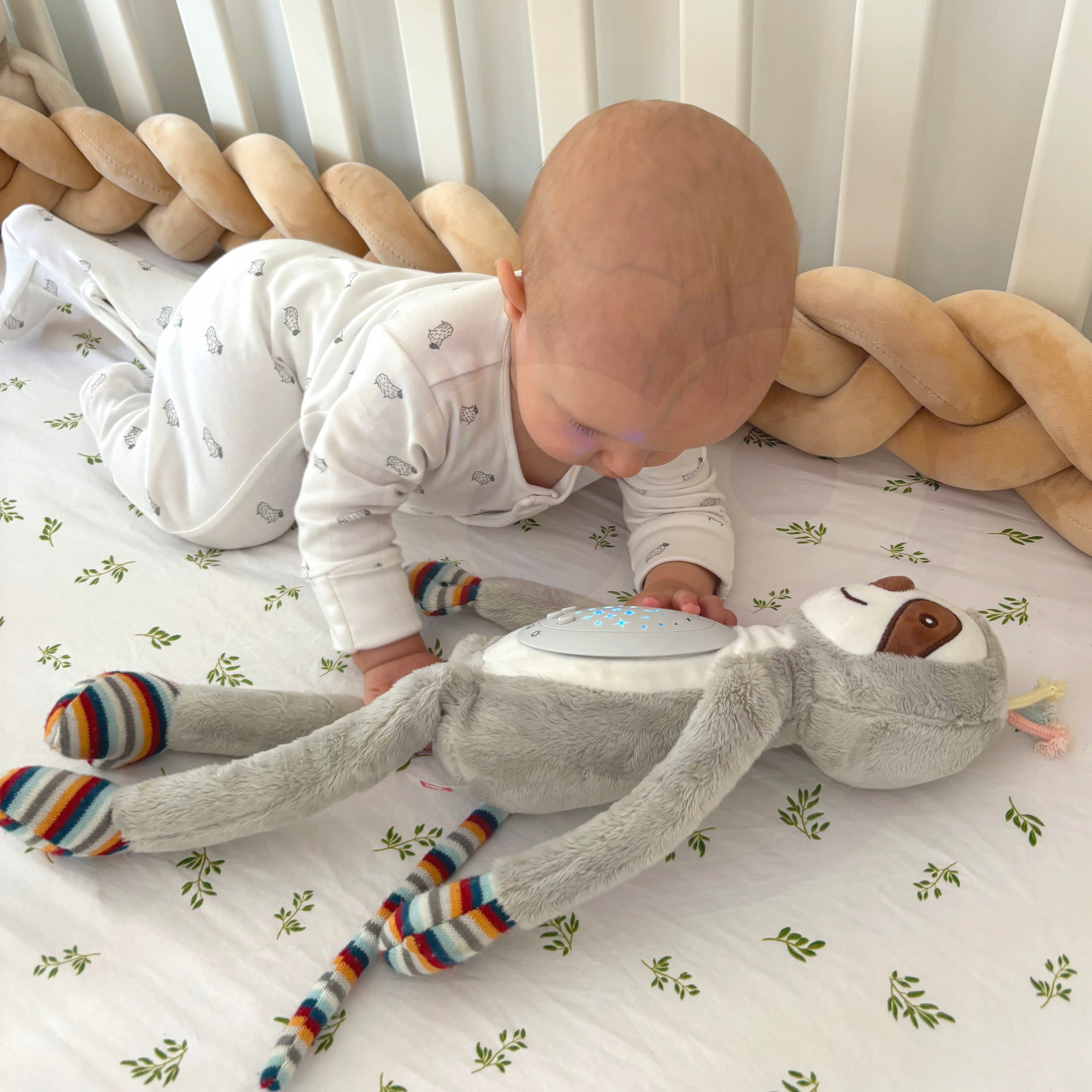 PRZYTULANKA INTERAKTYWNA PROJEKTOR MASKOTKA USYPIACZ LENIWIEC WOOPIE BABY Minimalny wiek dziecka 1