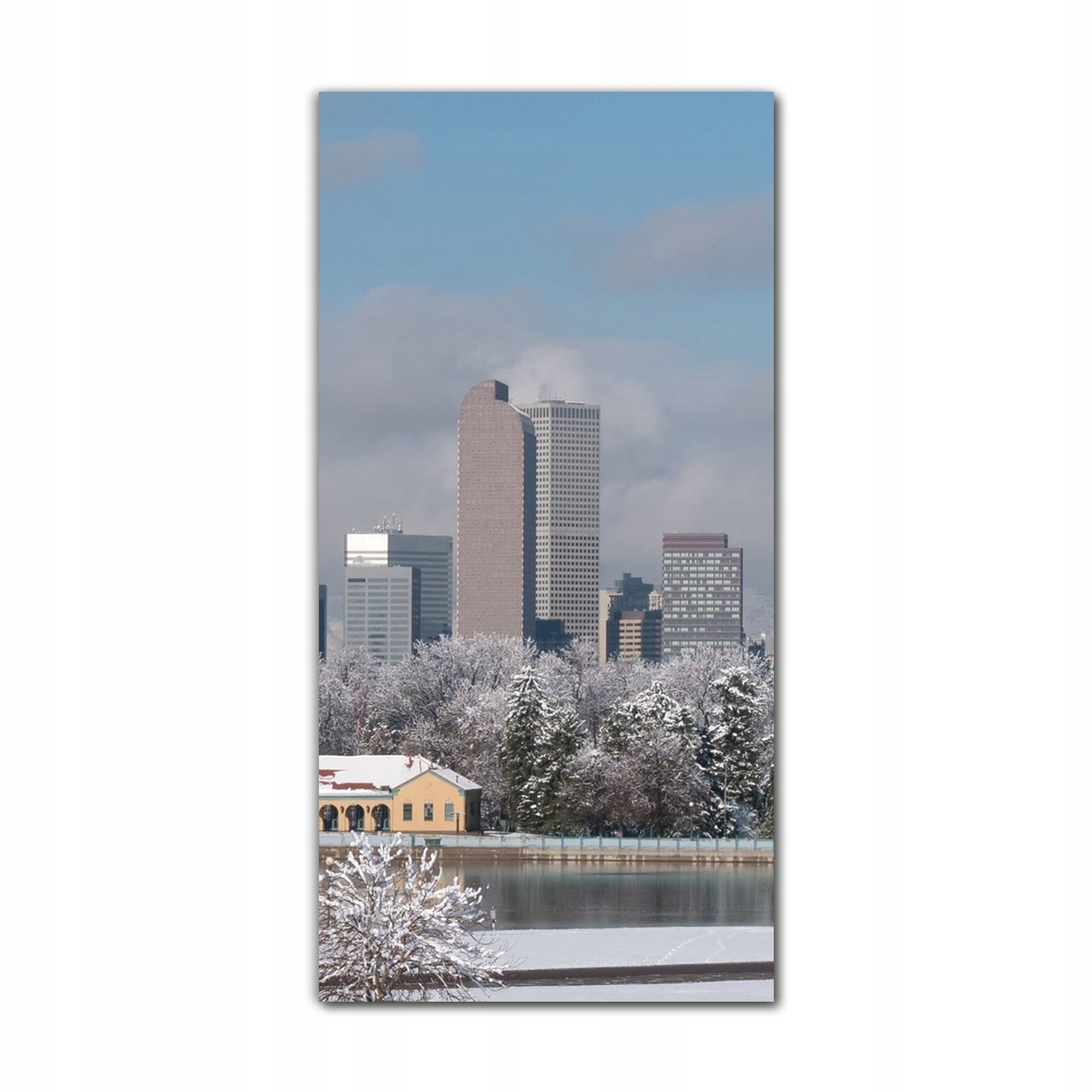 

Obraz na szkle do kuchni 70x140 cm Denver miasto
