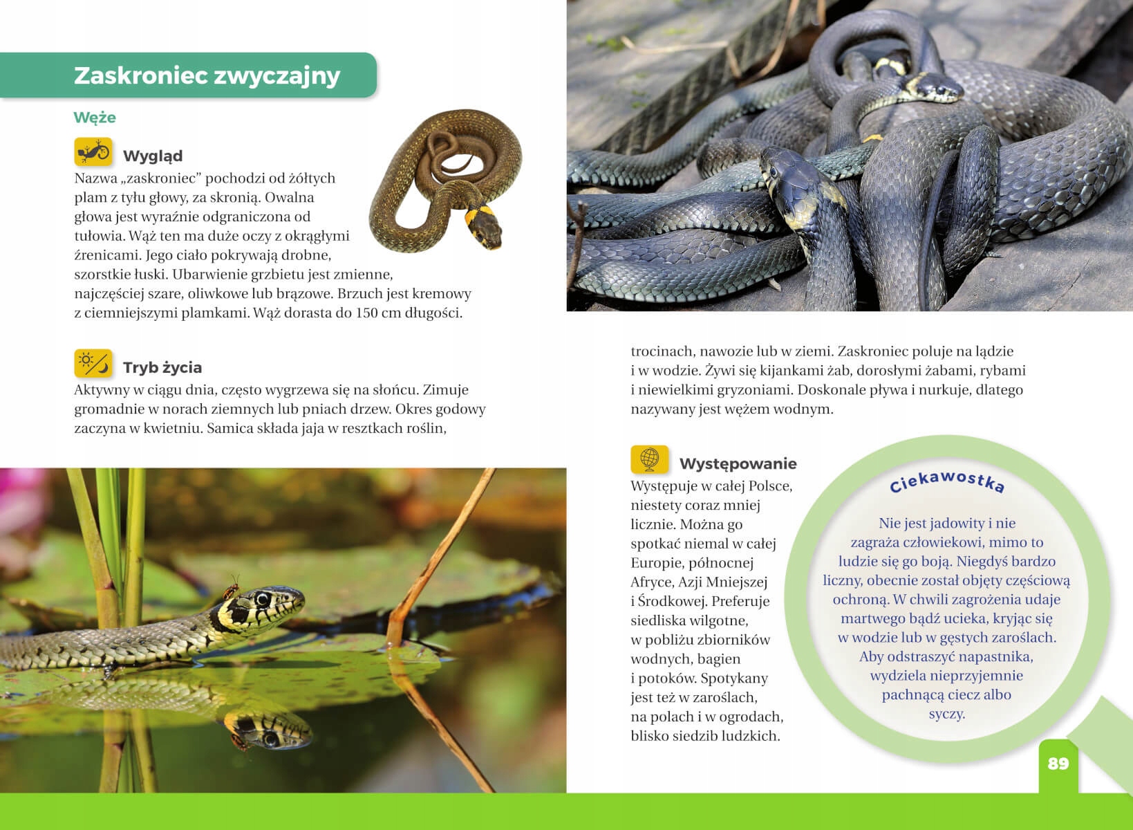 ATLAS DLA DZIECI JAKI TO GAD TWARDA NAGRODY SBM Wydawnictwo Wydawnictwo SBM