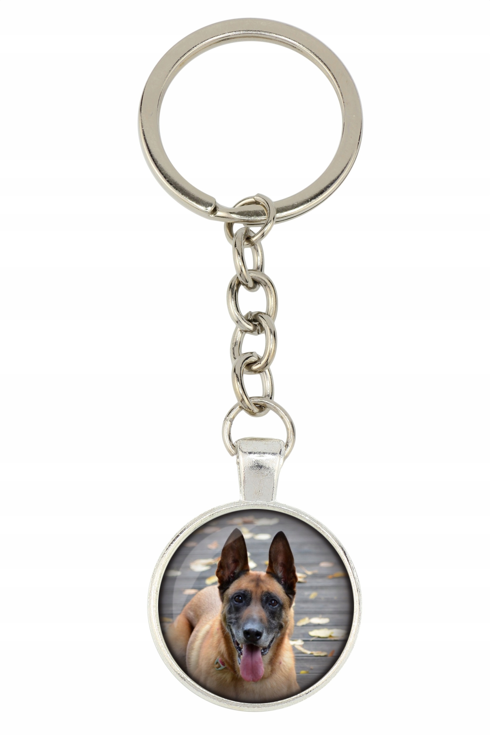 

Malinois Brelok Twoje zdjęcie foto Handmade