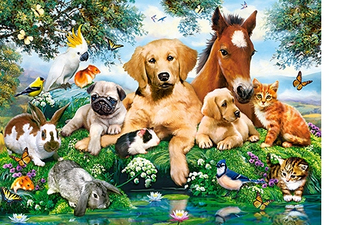 

Puzzle Koty Psy Konie Zwierzęta 9+ 500 El Castor