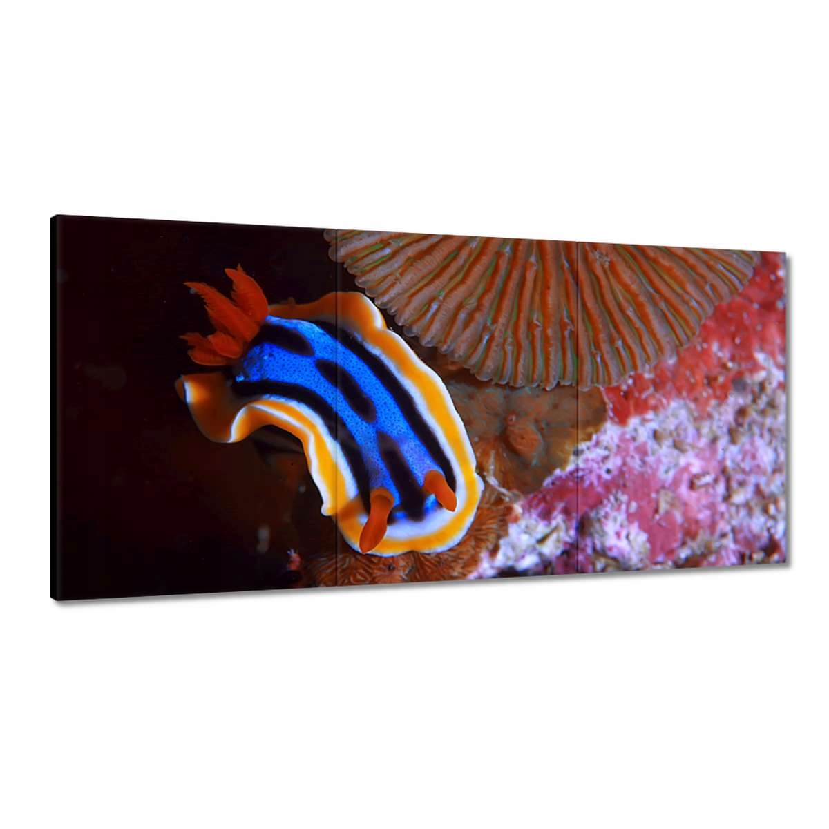 Obrazy 180x90 Ryba vo vodnom ekosystéme