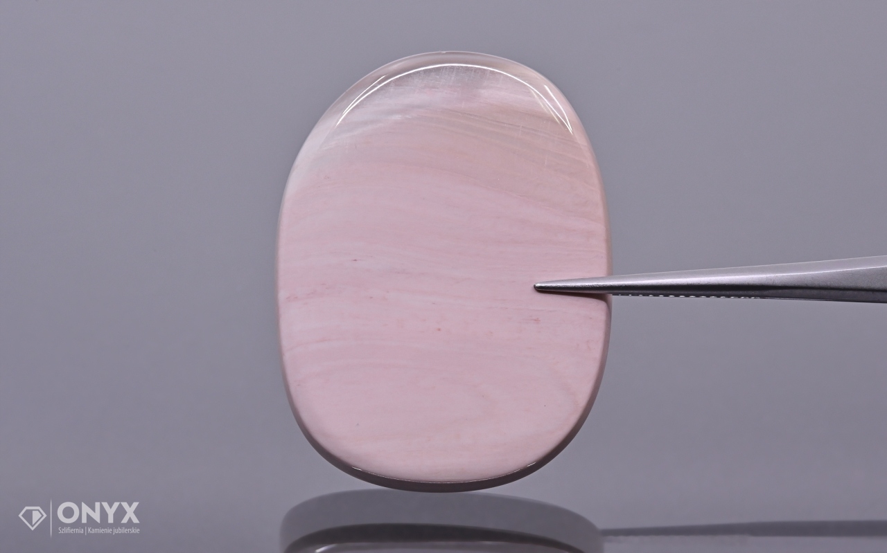 Zkamenělá dlaň konvexní nepravidelná dlažba 36,5x28,5 mm