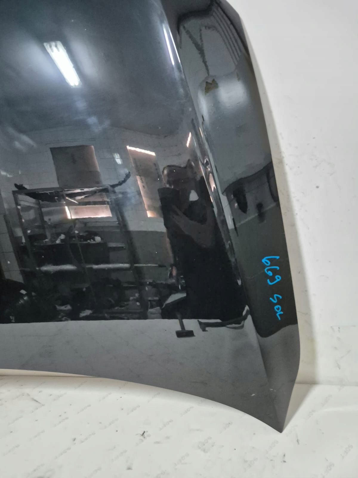 AUDI Q3 8U 8U0 11-18 Cofano