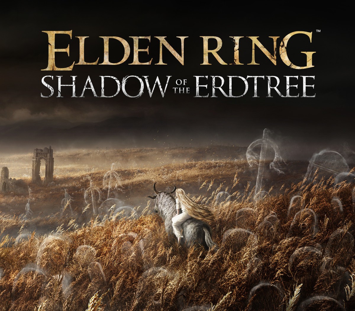 Elden Ring Shadow of the Erdtree DLC PS5 Kod Klucz
