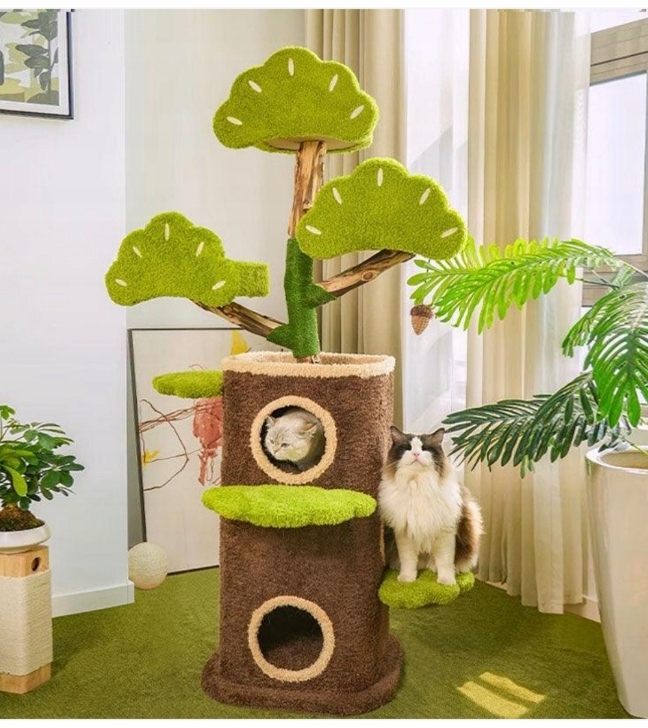 947495 Škrabadlo pre mačky, zelené, stromček, príroda