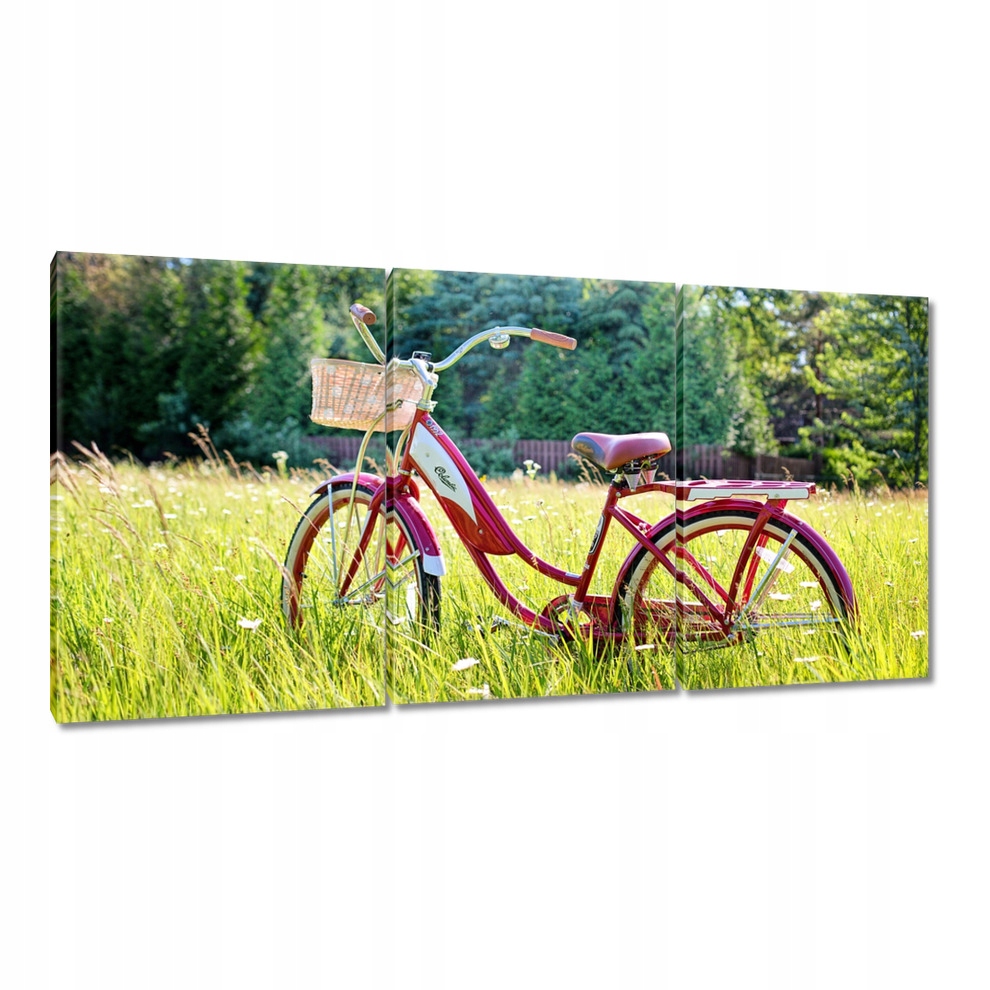 

Obrazy 240x120 Rowery Rowerki Dwa Kółka
