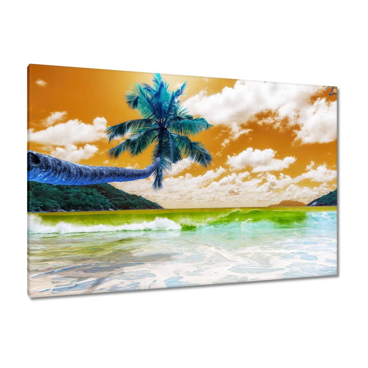 Obrazy 120x80 Tropy Krajina Palma