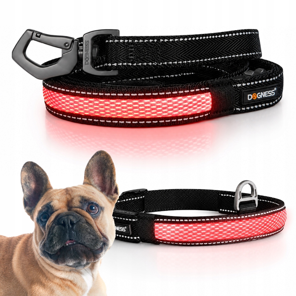 Smycz dla psa Odblaskowa Led M/L zestaw z Obroża Led 31-40 cm S Dogness