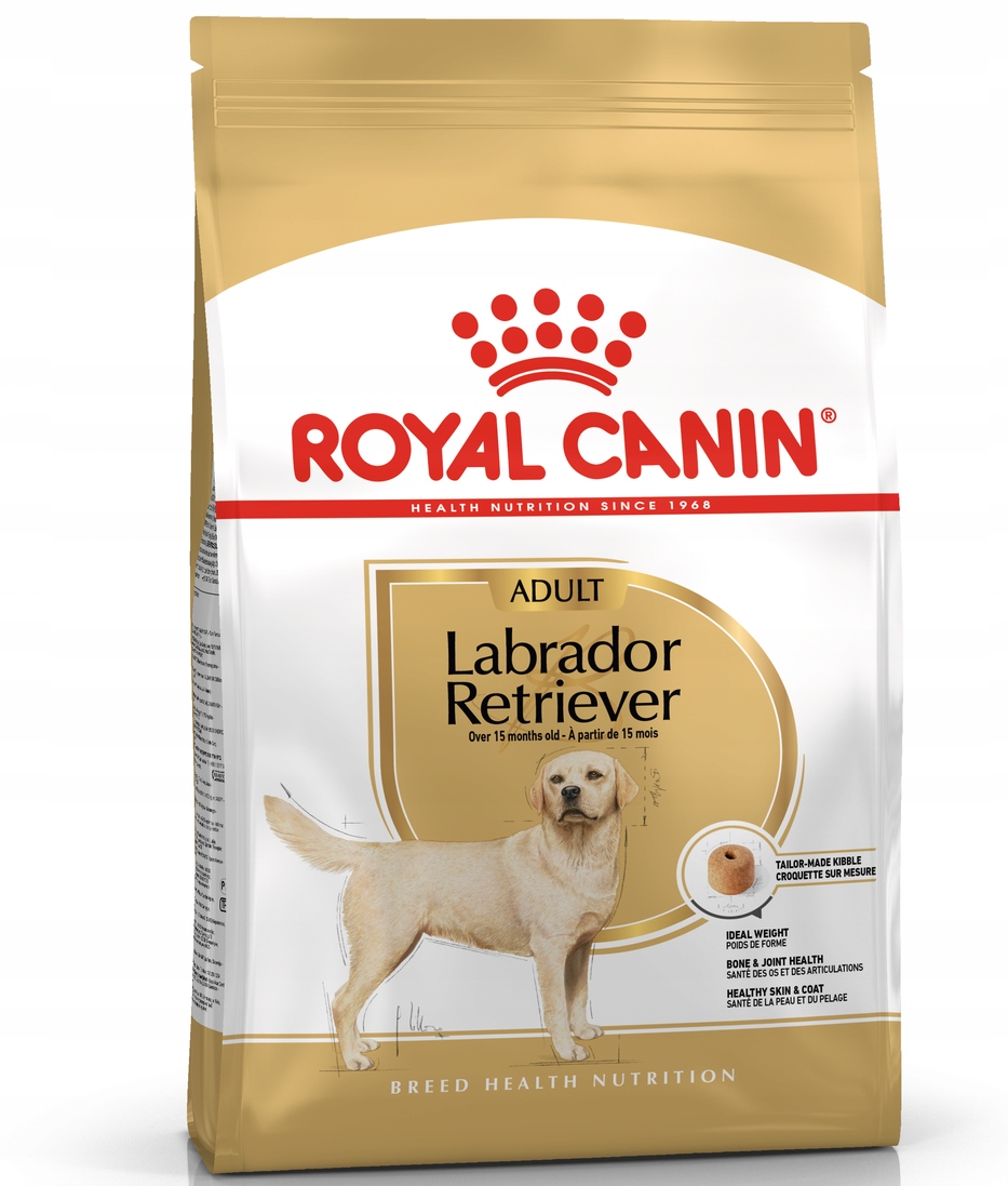 Ranking: Najlepsze karmy dla Labradorów (kontrola apetytu i stawów)