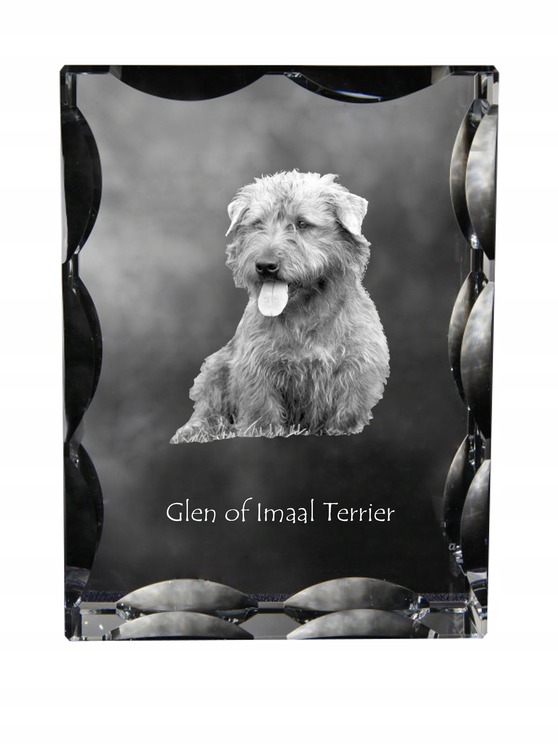 Glen of Imaal Terrier kryształ ze zdjęciem psa, szklana statuetka ze zdję