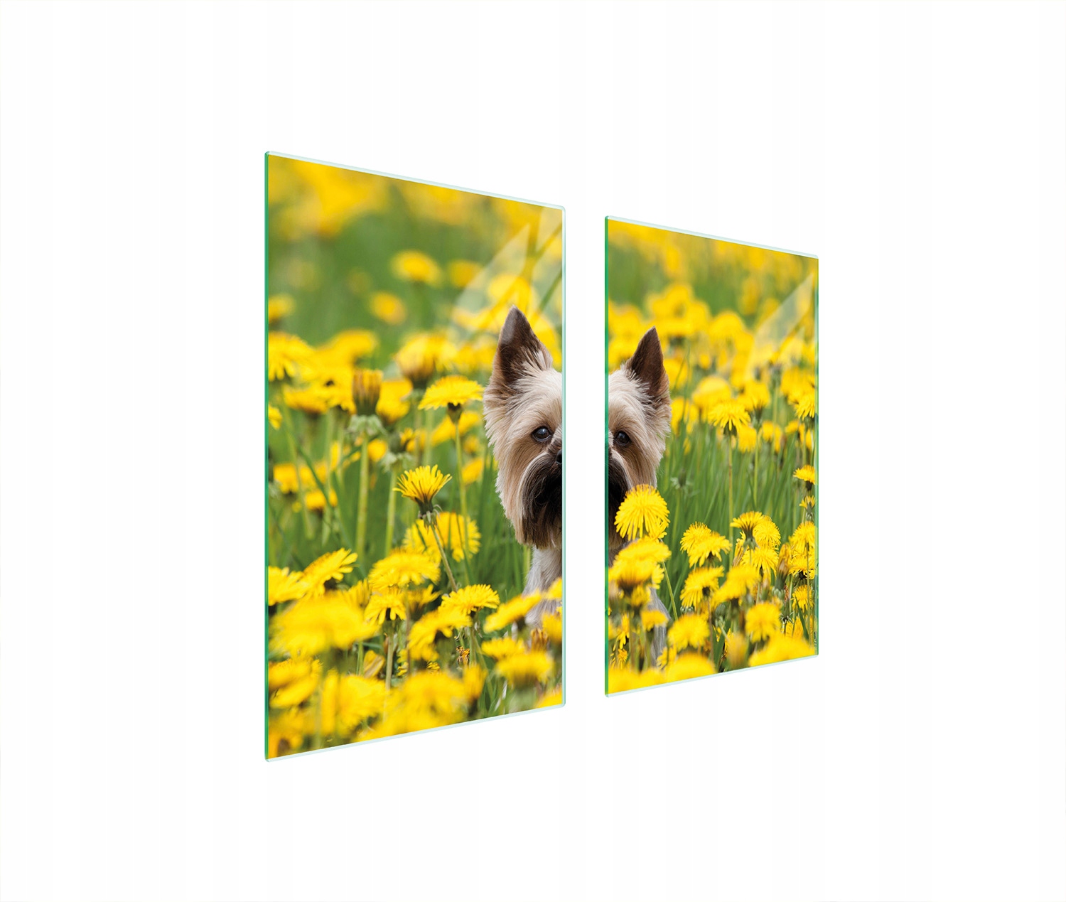 Skleněná Ochranná Deska Na Sporák 75x52 Pes Tvrzené Sklo