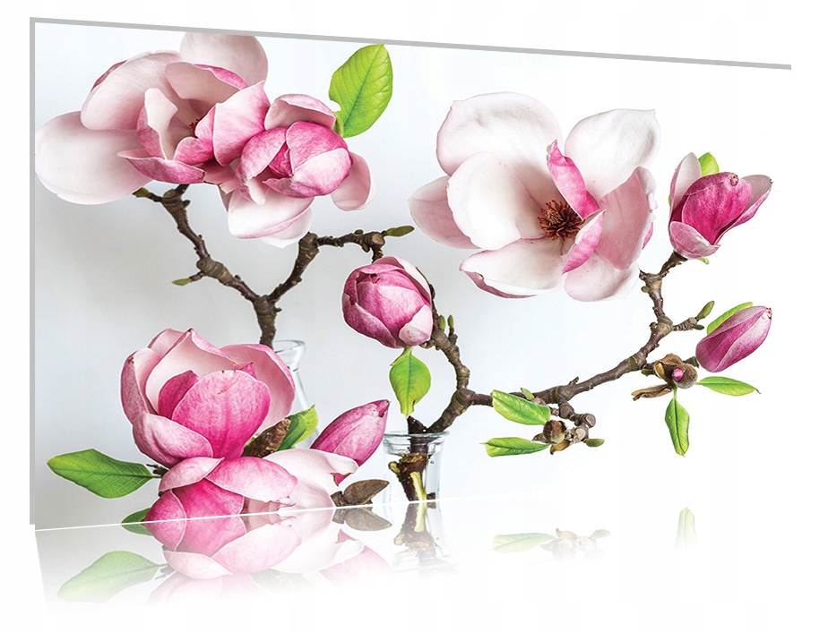 

Obraz szklany na szkle Magnolia 05 30x20