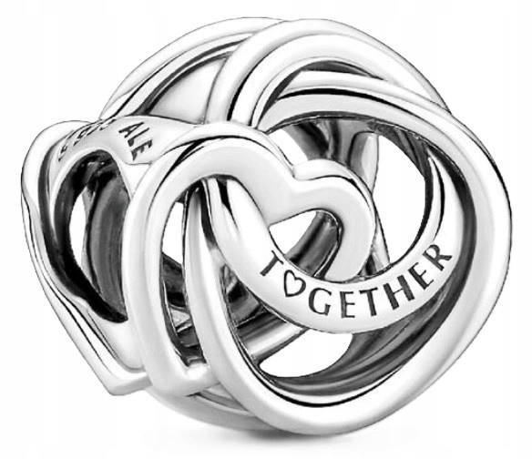 Přívěsek Pandora Rodina Je Nejdůležitější 791507C00 Stříbrný