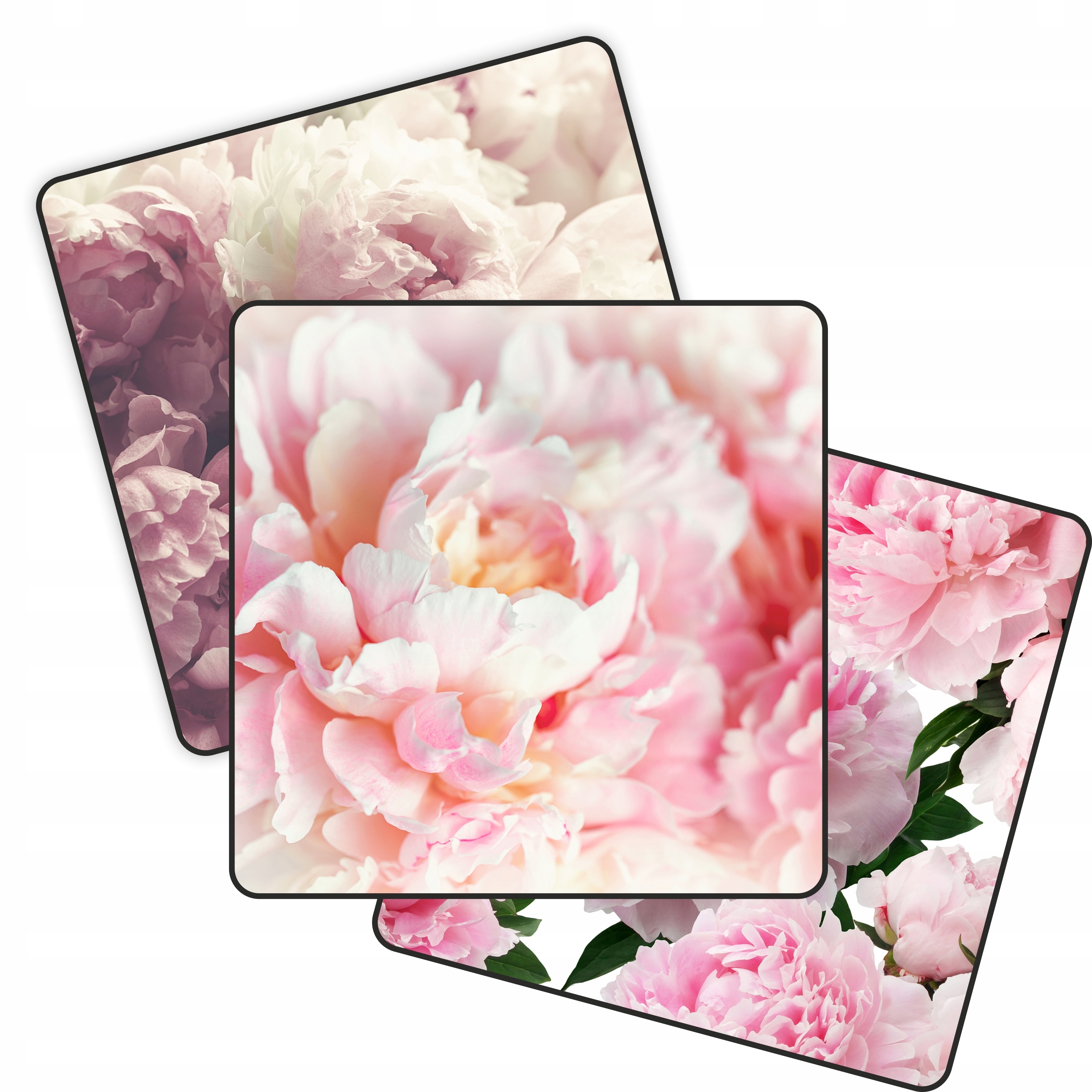Fototapeta Premium 3D Salón Kvety Peonie Pivonie Kolekcia 490 x 260 cm