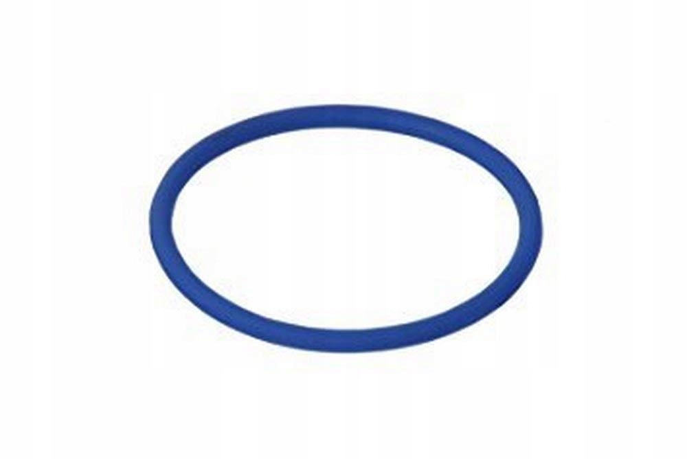 

Oring zbiornika pompy paliwa Vw Audi WHT005184