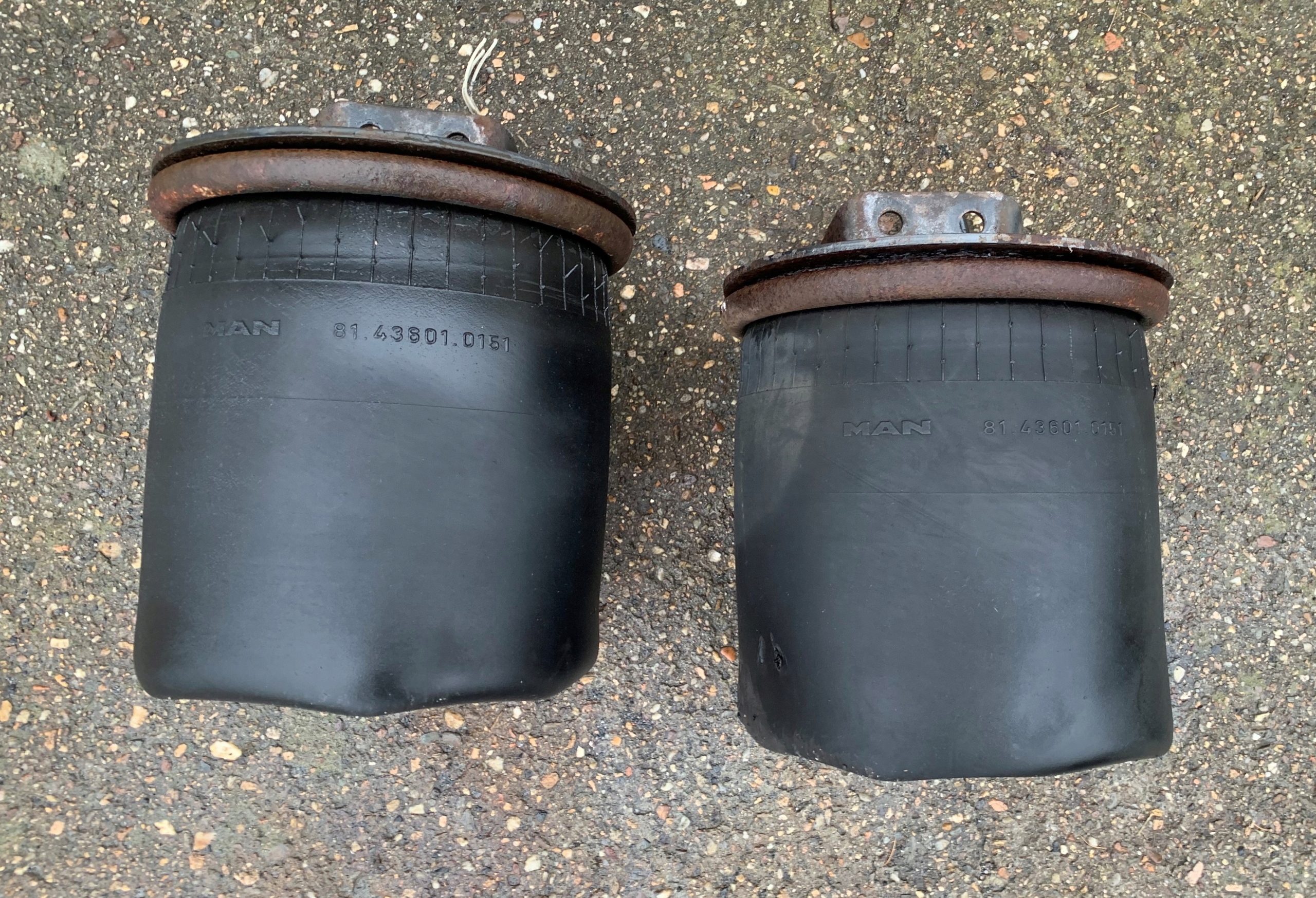 81436010151 - MAN TGA TGX сильфон подушка задняя CONTITECH 4882 N1