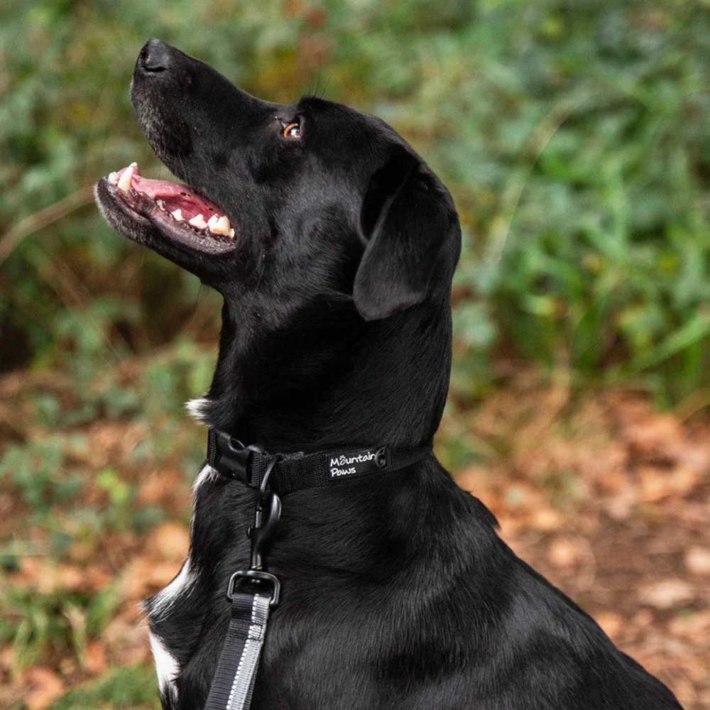 Levně Velmi odolný obojek pro psa Mountain Paws černý L