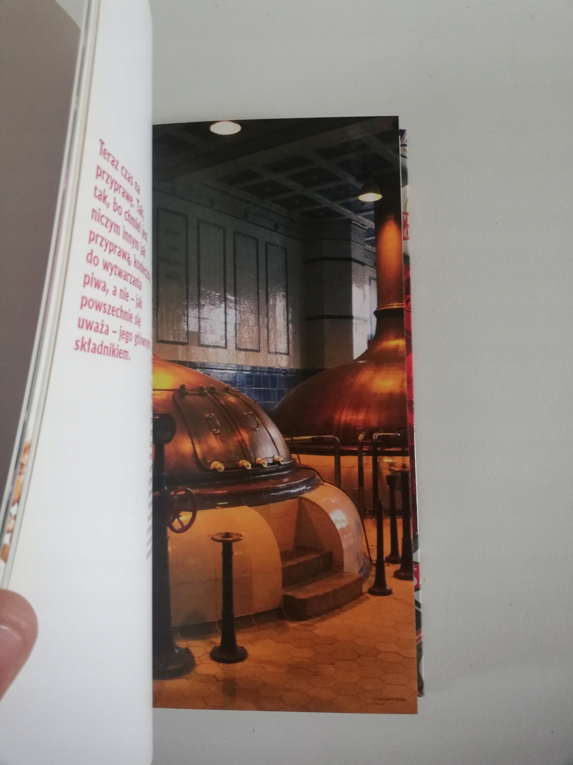 Tyskie vademecum piwa Michael Jackson Tytuł Tyskie vademecum piwa