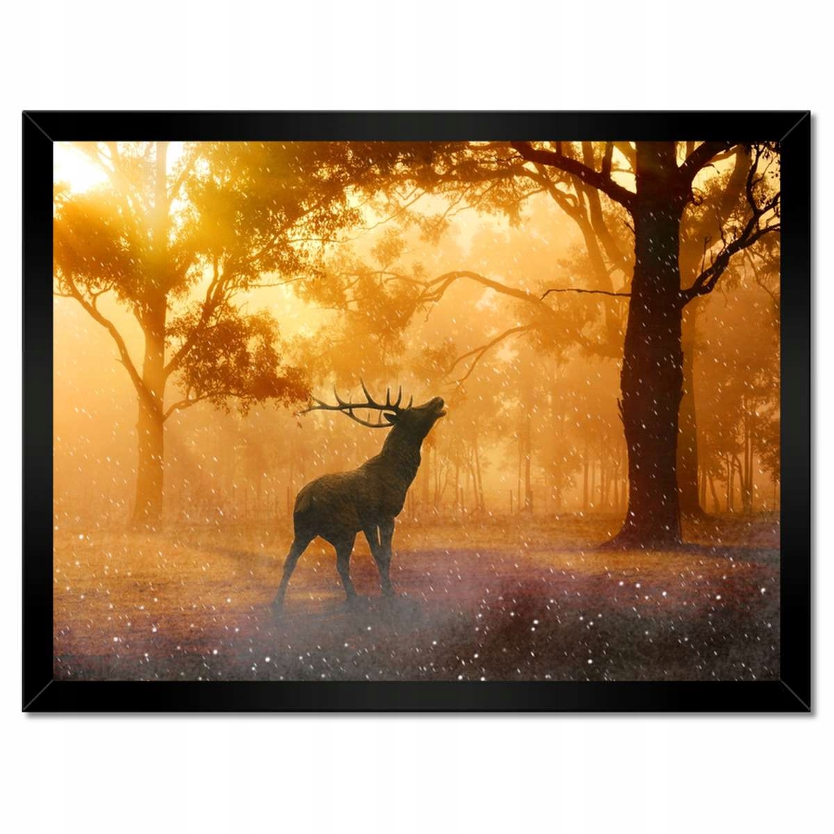 Plakáty v rámu 40x30 Jelen v lese