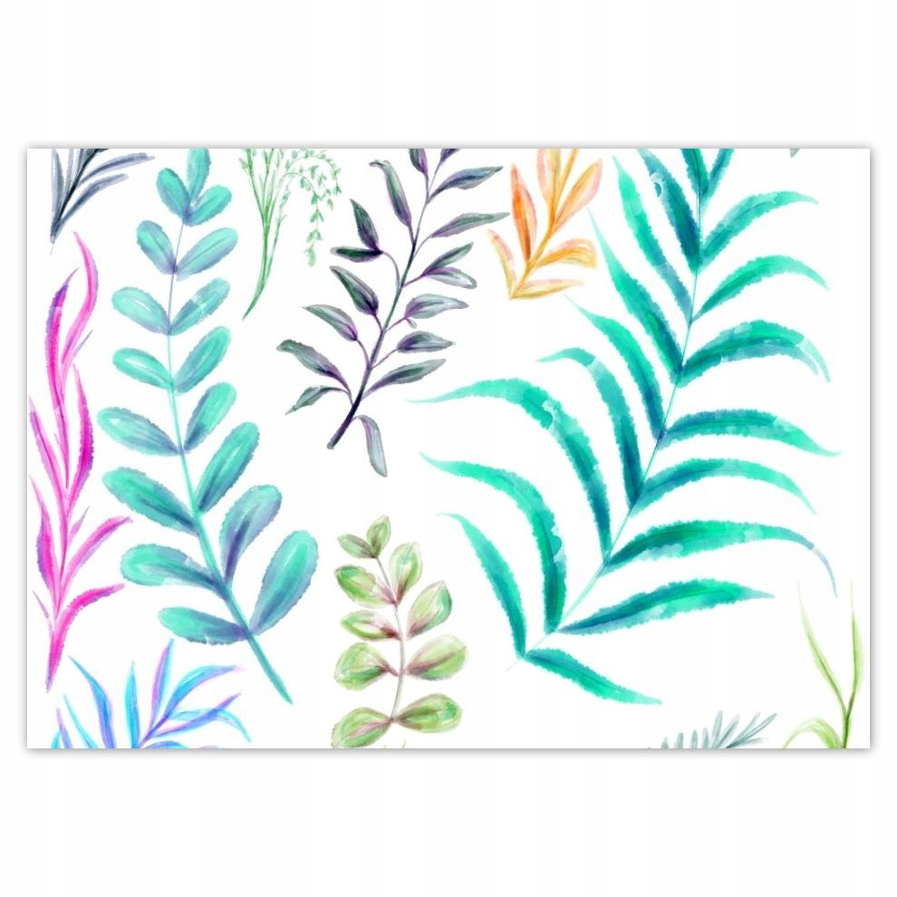 

Naklejki 70x50 Tropikalne zestawienie