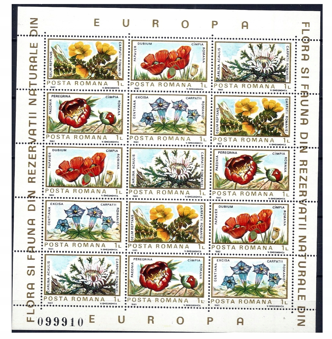 Rumunia arkusz 3982-3986 ** Kwiaty KS