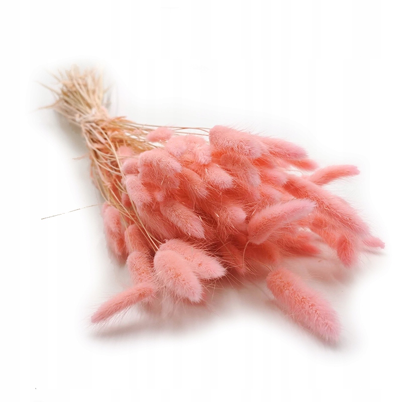 

Lagurus pudrowy róż dmuszek jajowaty susz 150szt