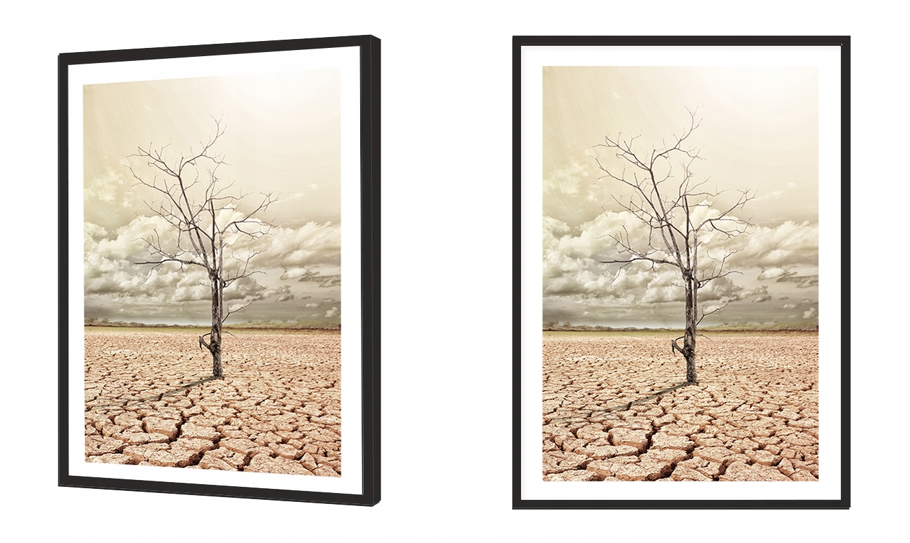 OBRAZ PLAKAT bez ramy 50x70 cm Boho P2185 duży Bohater / Bajka Inny