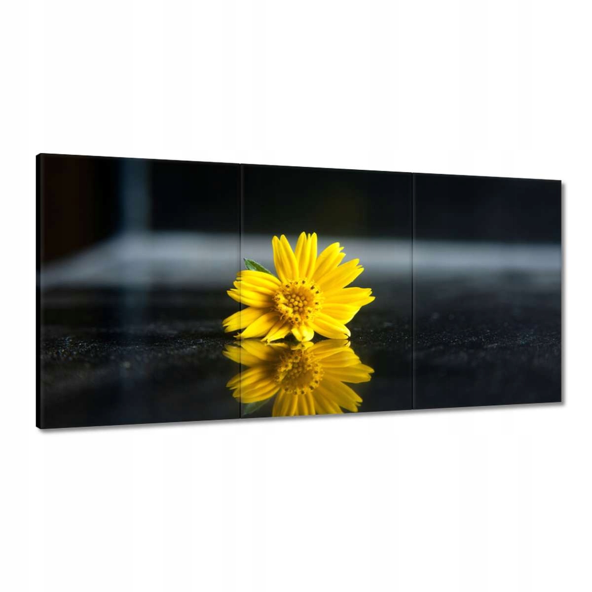 Obrazy 180x90 Žltý kvet