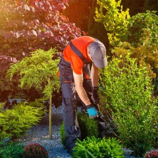 KOSA RĘCZNA SIERP DO PODCINANIA RĘCZNY SKŁADANY OSTRZE OGRODOWA KOSZENIA Rodzaj kosa