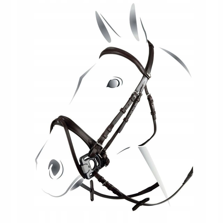 Ogłowie przesunięty skośnik dla koni czarne Jubilee Equestro Pony