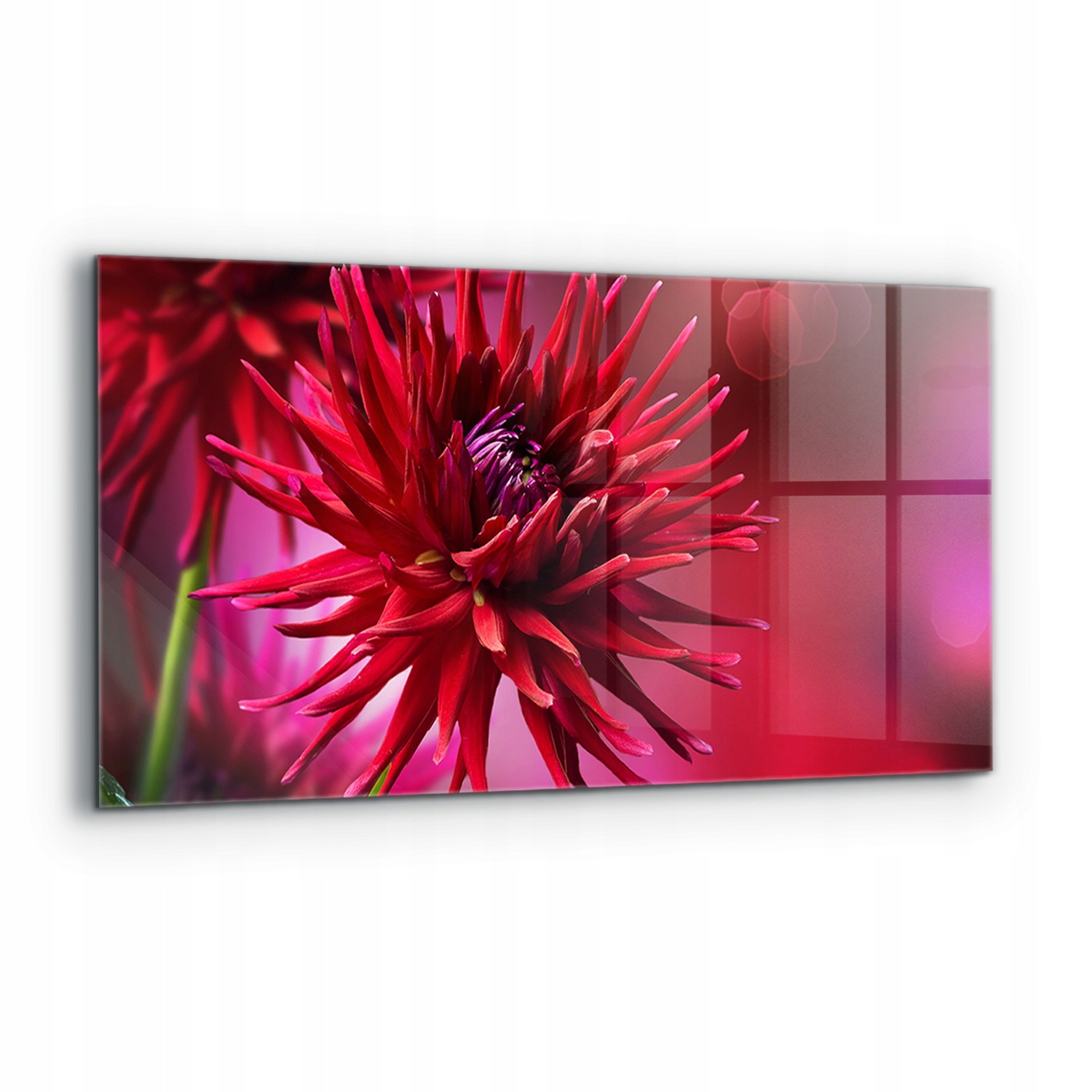 Panel Kuchyňa Izba Červený kvet Dalia 120x60 cm