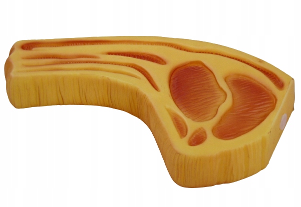

Gryzak dla psa zabawka gryzak stek Antrykot 16cm