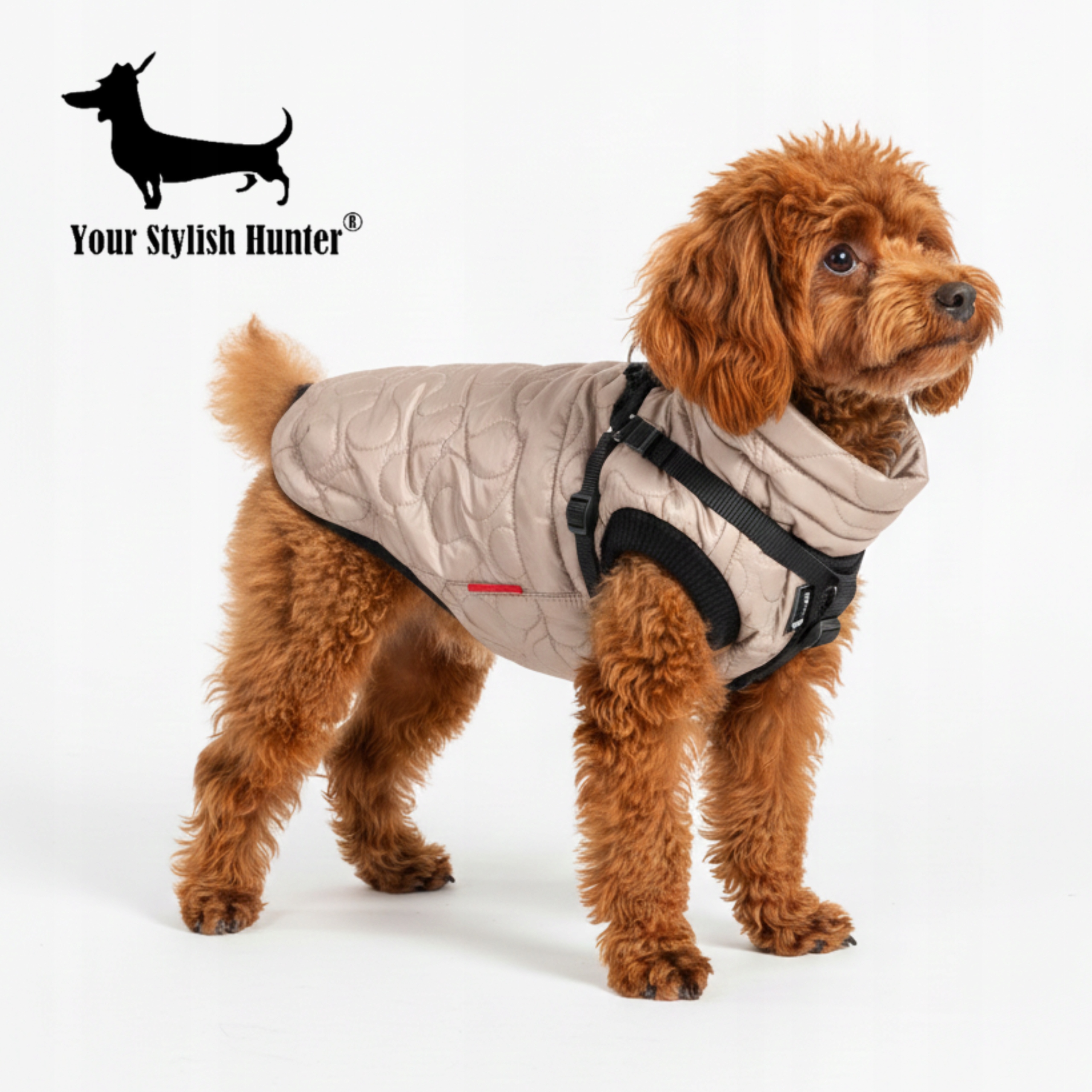 Levně Teplá lehká zateplená bunda pro psa s ramenními popruhy, voděodolná, béžová, velikost 3XL