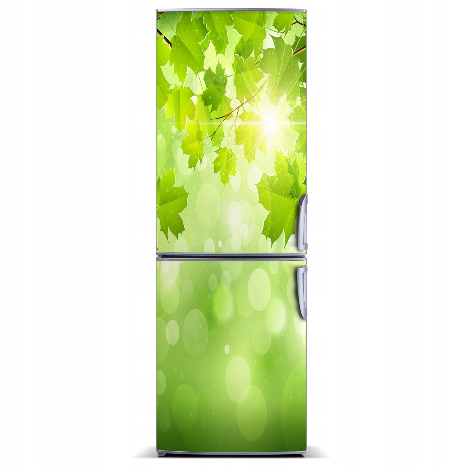 

Naklejka Magnes Magnes Zielone liście 60x180