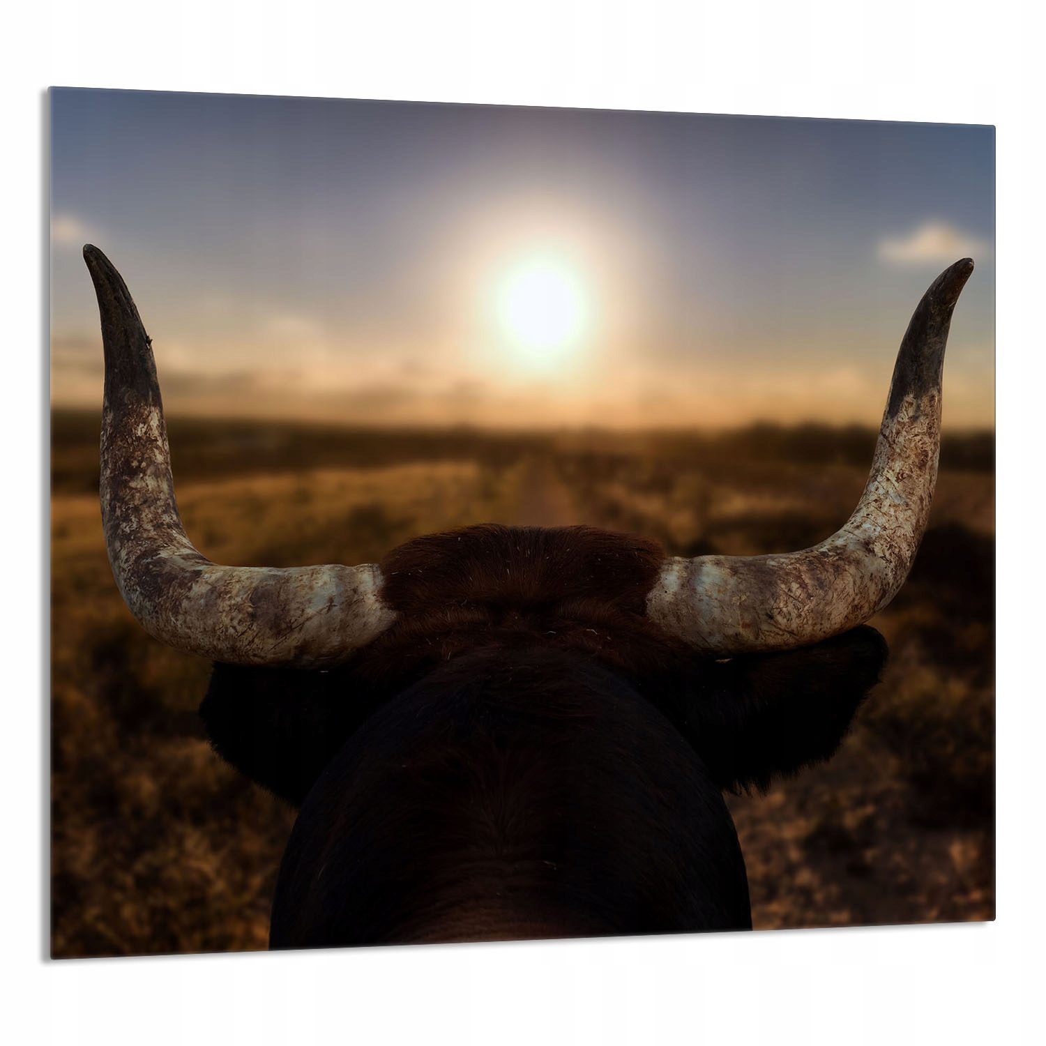 Skleněný Panel Do Kuchyně 65x60 Slunce Tvrzené Sklo