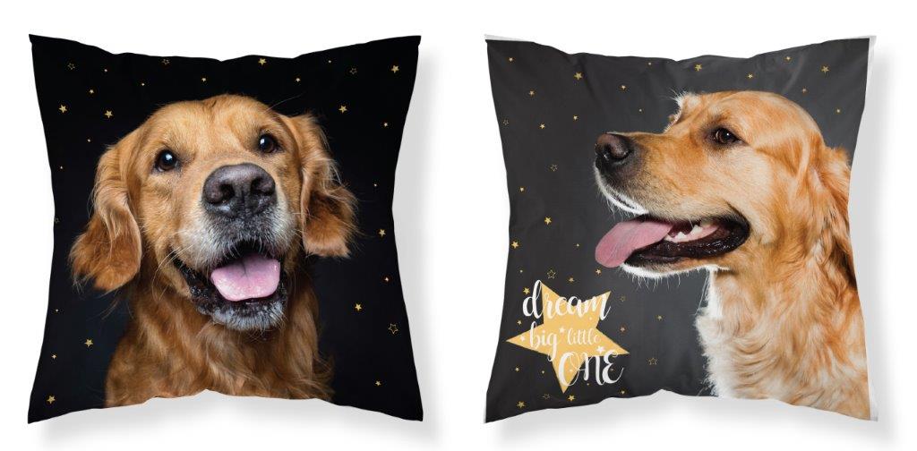 

Poszewka Dwustronna 40x40 Pies Psy Dog Zwierzęta