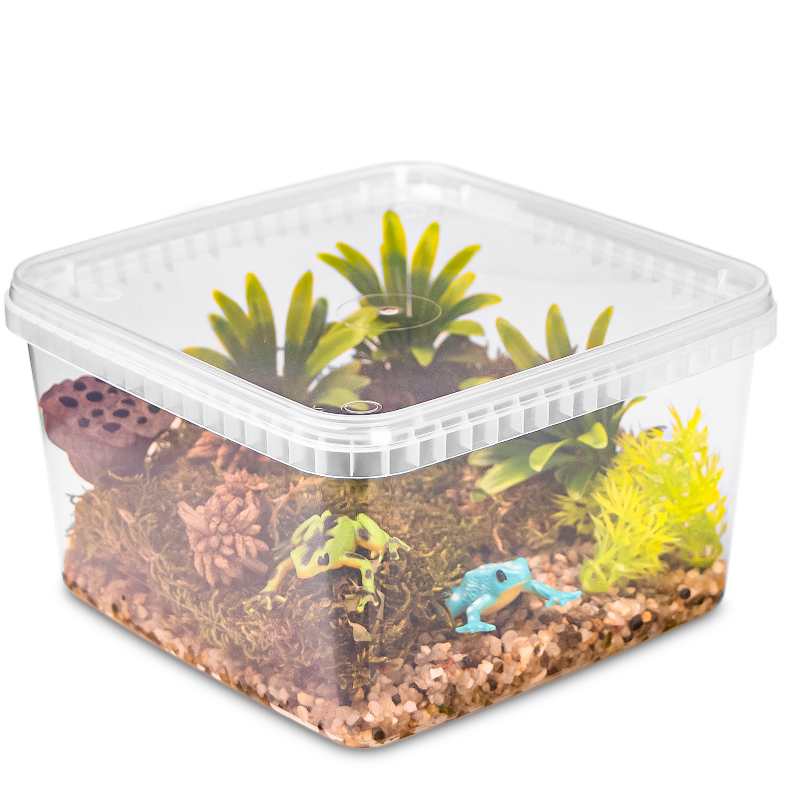 

Tanie Terrarium Dla Gadów Płazów Pająków Lekkie