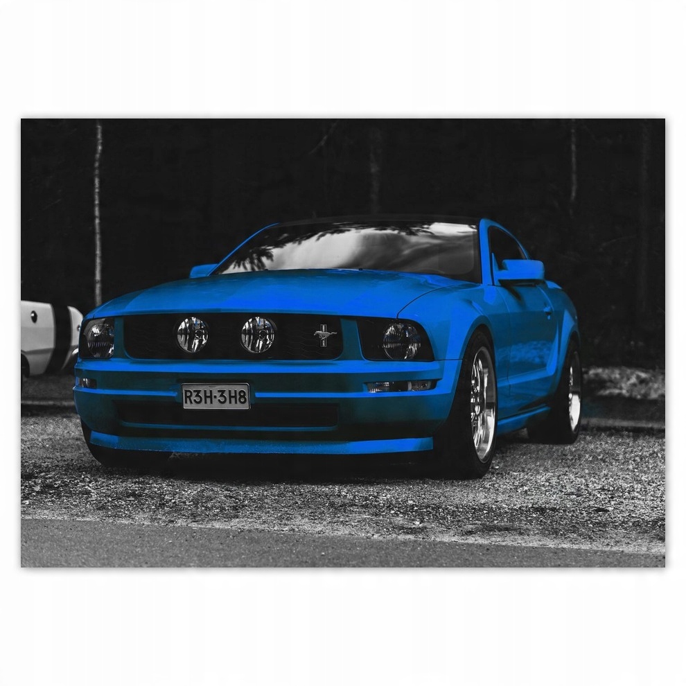 

Fototapety flizelina 416x290 Blue Ford Mustang