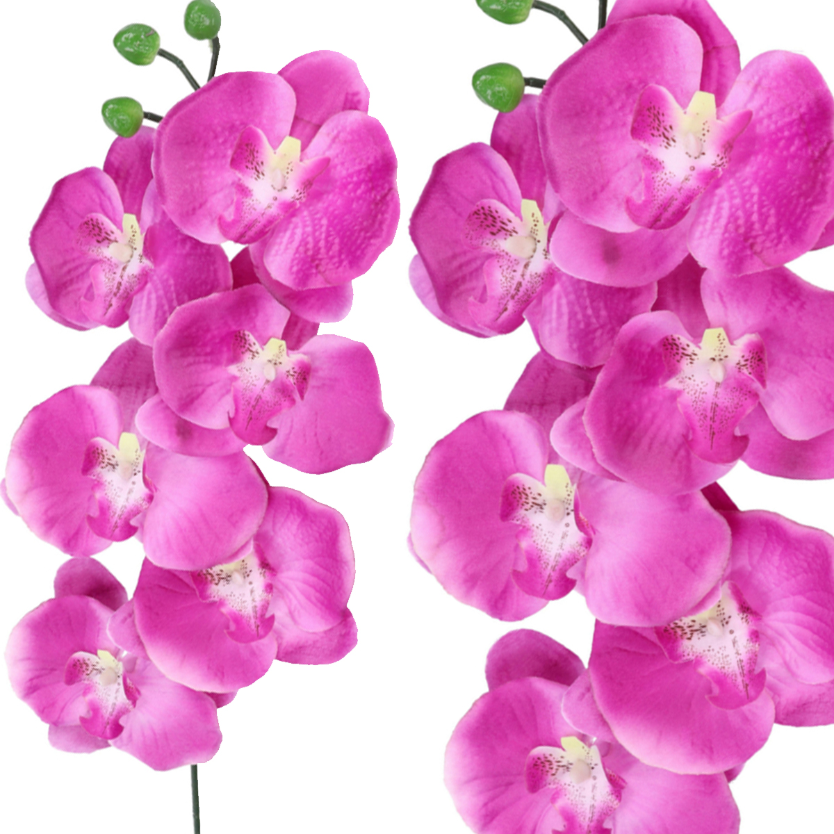 

Storczyk Orchidea Gałązka Pojedynczy Gałązki 75cm