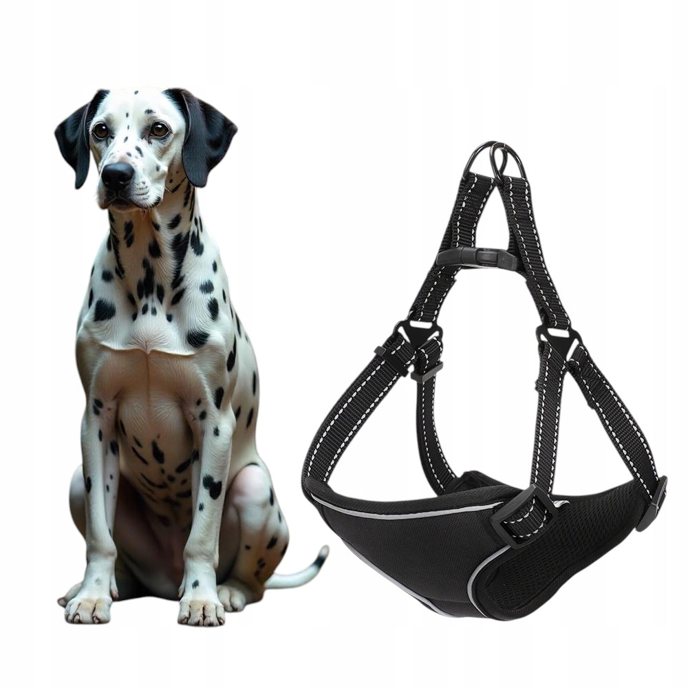 Levně Beztlakové Postroje Pro Psa, Pohodlné A Bezpečné, Reflexní